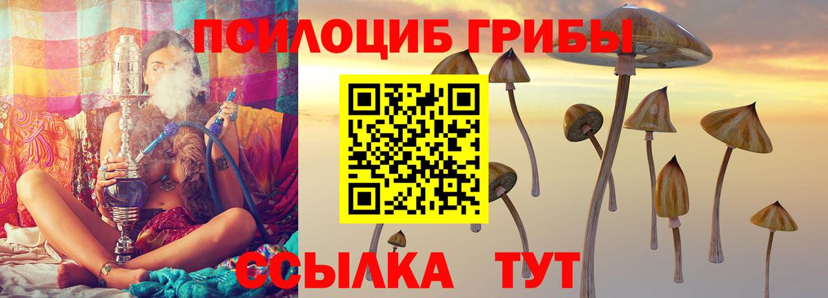 Нягань  Галлюциногенные грибы Psilocybe  Вход с VPN  Псилоцибиновые грибы Psilocybine cubensis 